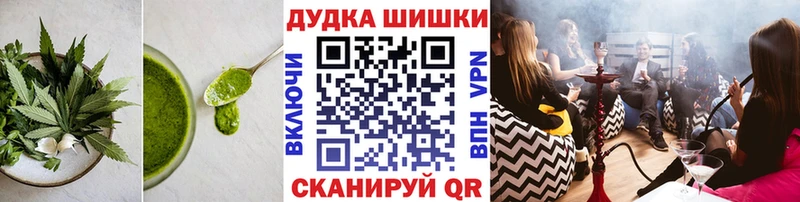 дарнет шоп  Шумиха  Canna-Cookies конопля 