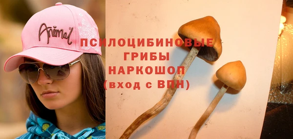 кокс Алзамай