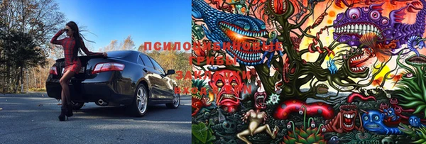 мдпв Алексеевка