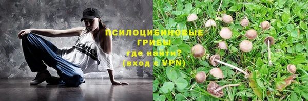 эйфоретик Абаза