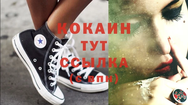 индика Вяземский