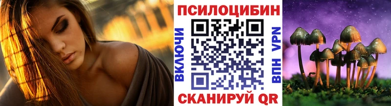 дарнет шоп  Шумиха  Галлюциногенные грибы мицелий 